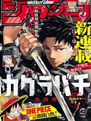 狂野情人漫画卷册抽屉封面占位六